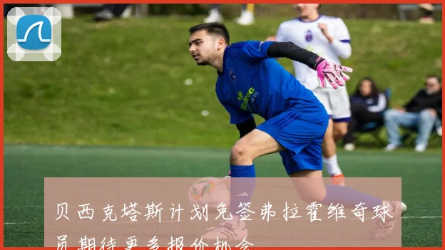 贝西克塔斯计划免签弗拉霍维奇球员期待更多报价机会